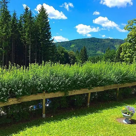 Stadtzentrum Appartamento Mariazell