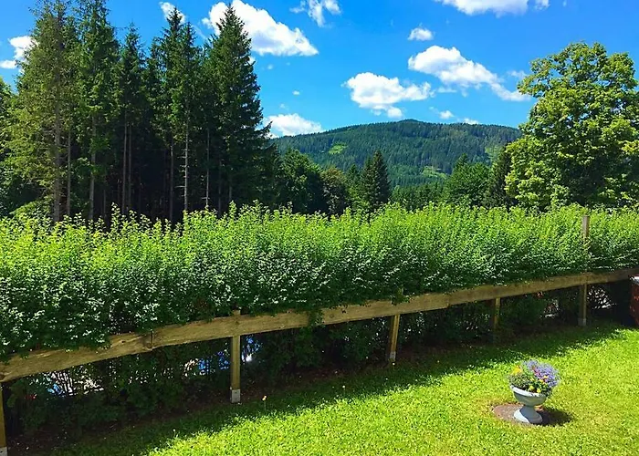 Stadtzentrum Apartmán Mariazell